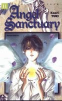 Angel Sanctuary Vol11.jpg
